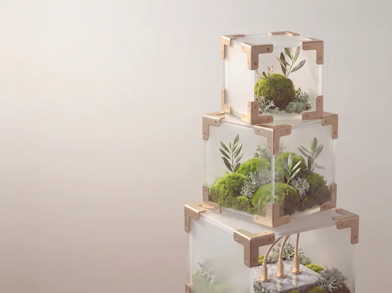 Stepped pyramid of three twisted frosted-glass cubes with moss, olive branches, granite and cables