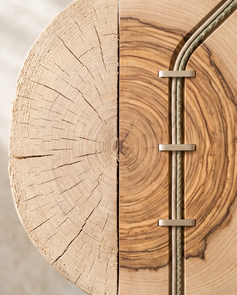 Cross-section of olive wood, rough-sawn on the left, sanded on the right with visible grain; a cable bundle held by three champagne clamps runs across the sanded half