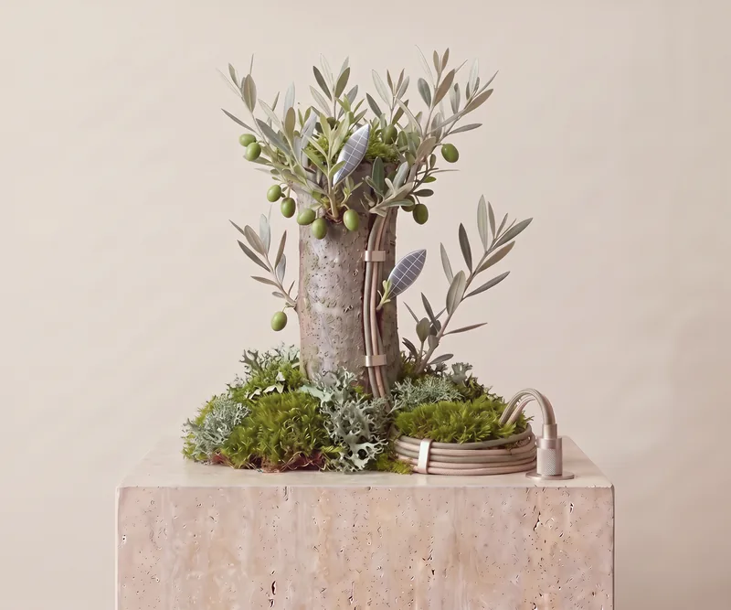 The same trunk in full leaf: a dense olive crown with green olives and one silicon leaf; the cable bundle and plugs are overgrown with moss and lichen
